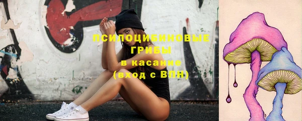 прущие крисы Богородск