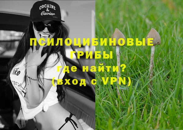 скорость Богородицк