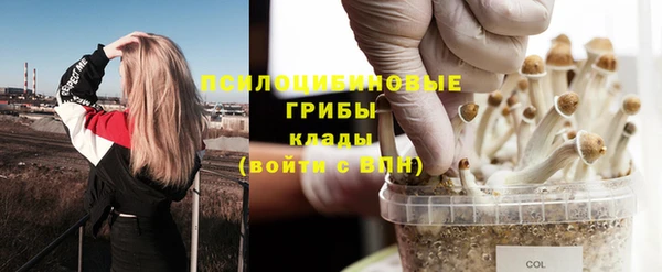 прущая мука Богданович