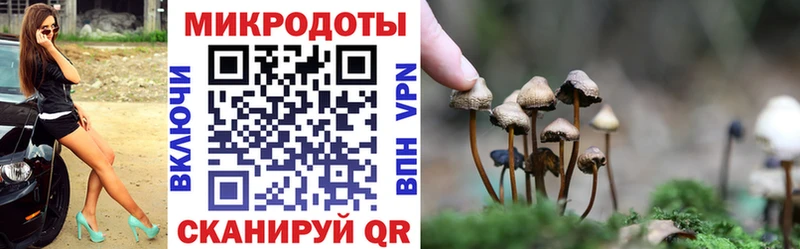 Галлюциногенные грибы ЛСД  Неман 
